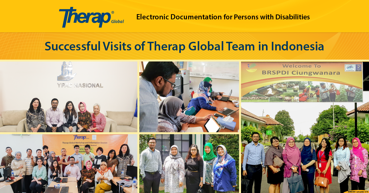 Successful Visits of Therap Global Team in Indonesia