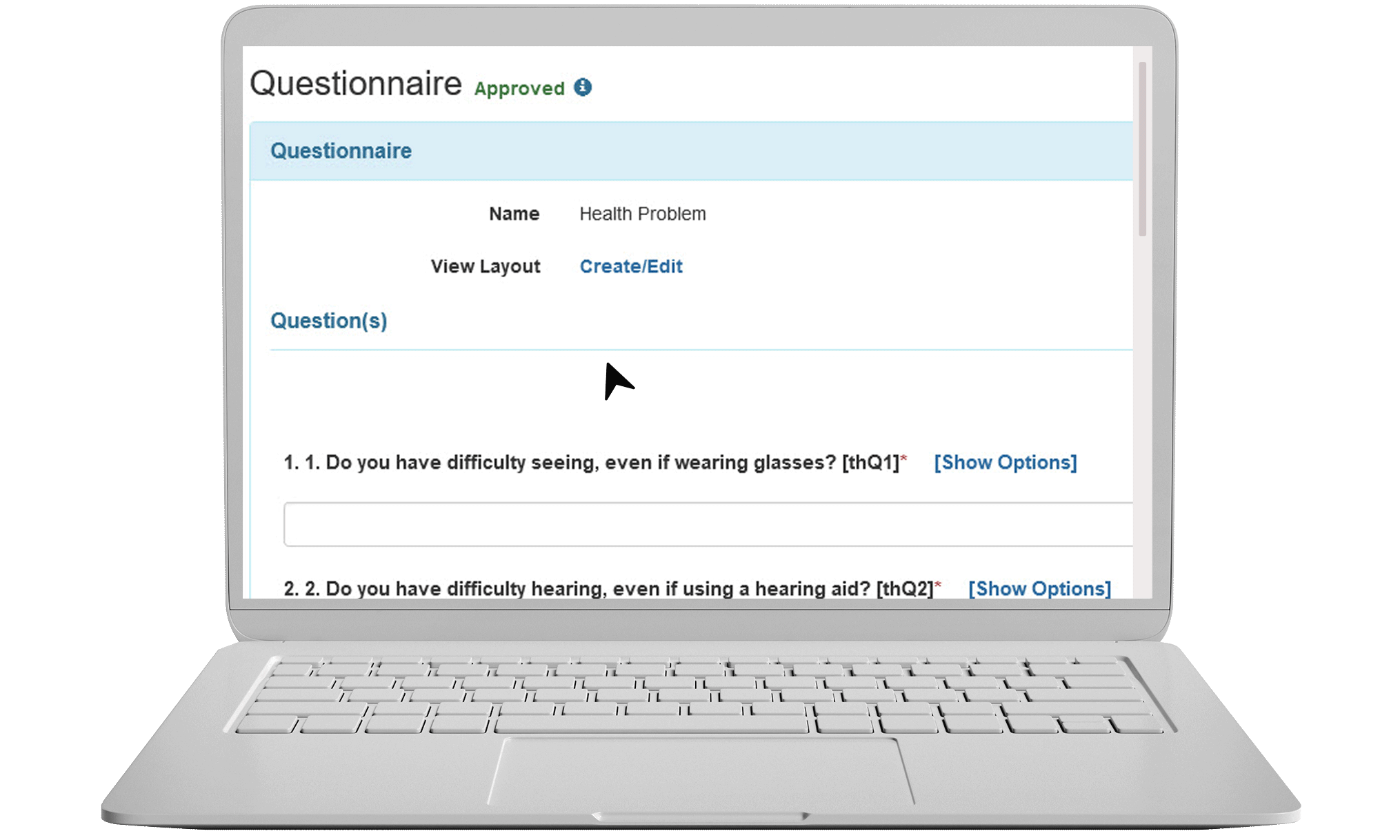 Screenshot of Questionnaire/ Assessment