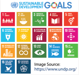 Therap helps organizations achieve SDG