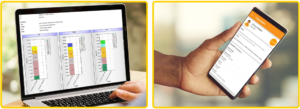 Programatic Report and T-log
