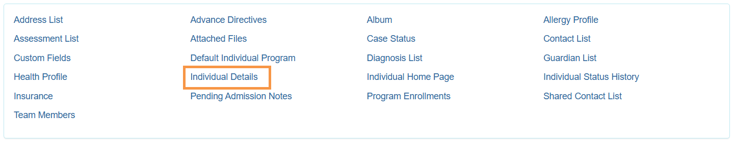 Individual Details ISP program on therap dashboard
