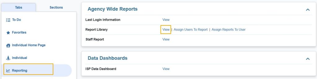 Reporting Tab - Therap Global