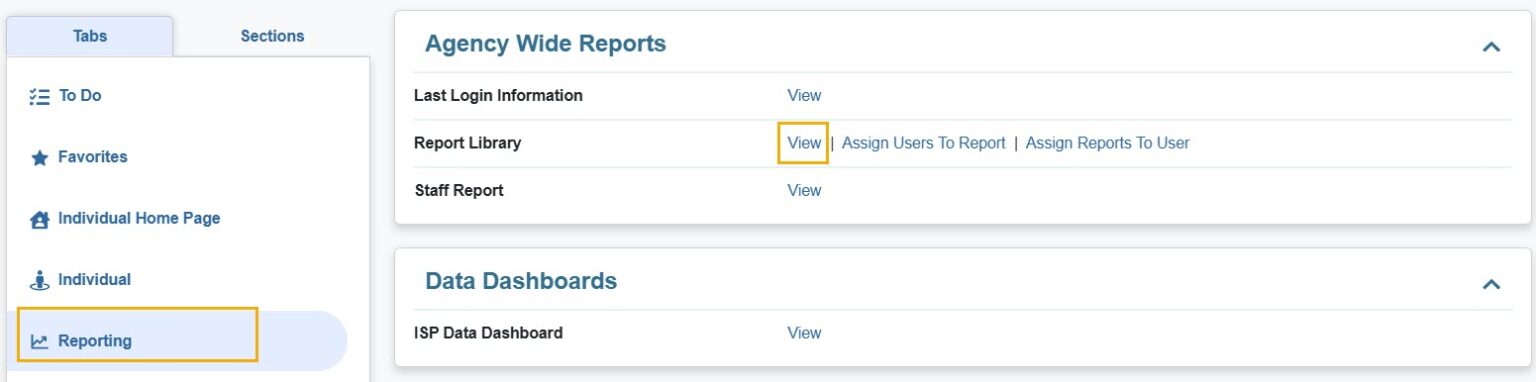 Reporting Tab - Therap Global