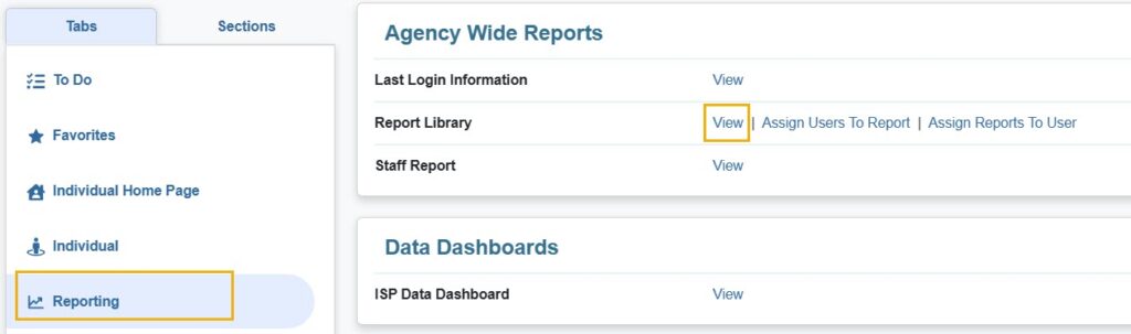 Reporting Tab - Therap Global