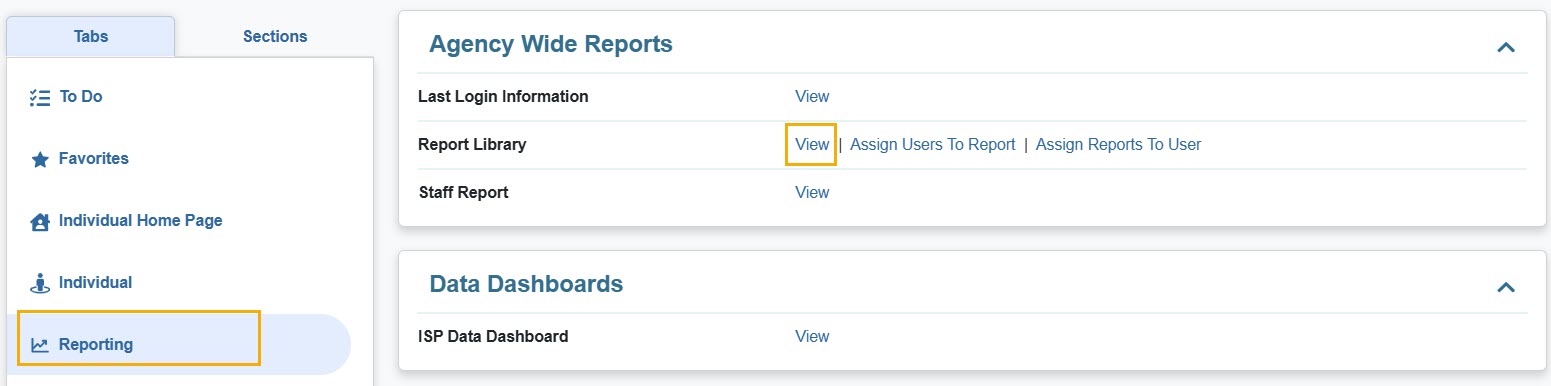 Reporting Tab - Therap Global